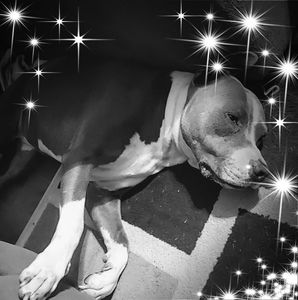 Meet your Posher, Elexis